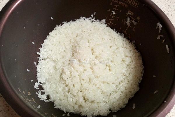 牛肉焖饭的做法图解5