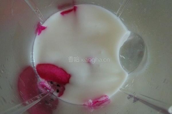 果皮奶昔的做法图解3