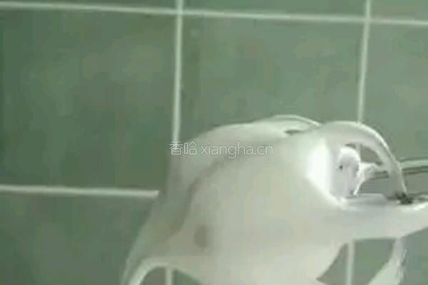 小山进蛋糕卷的做法图解4