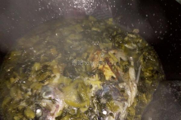 酸菜炖罗非鱼的做法图解3