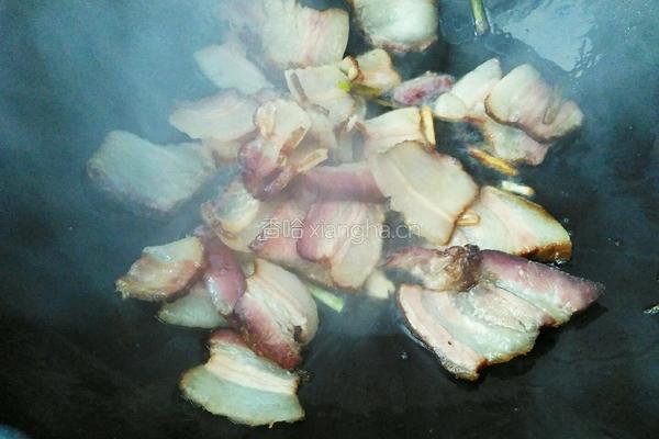 春笋炒腊肉的做法图解6