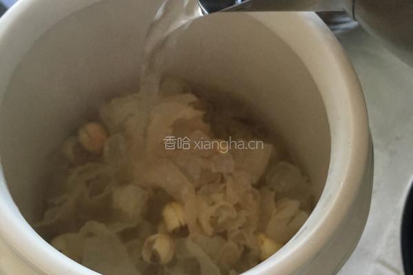 红枣银耳莲子羹的做法图解5