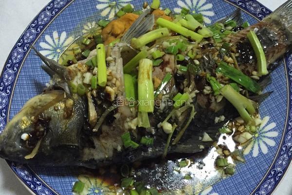 清蒸鲫鱼的做法图解5
