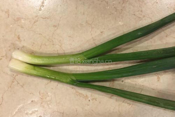 清蒸河虾的做法图解4