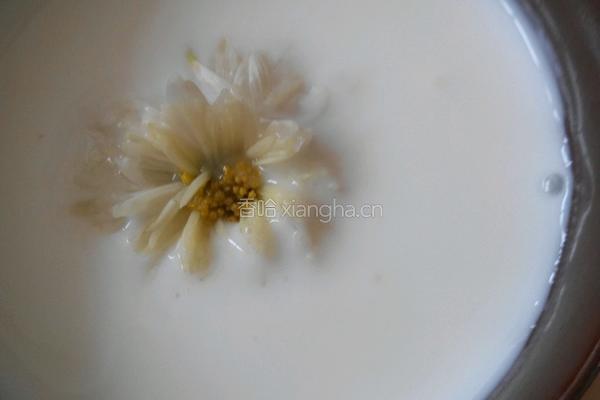 菊花酸奶！的做法图解4