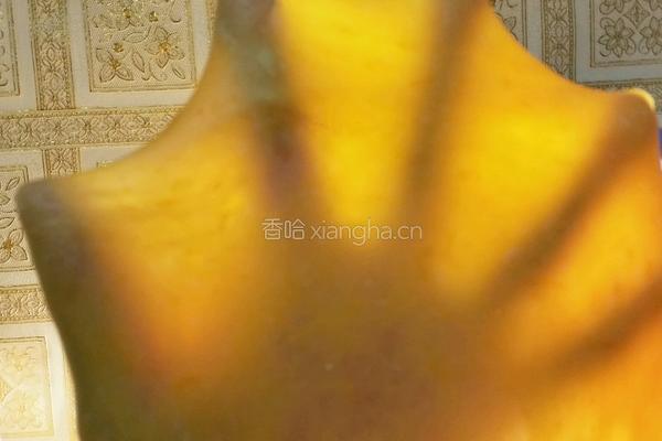 南瓜煉奶土司的做法图解3
