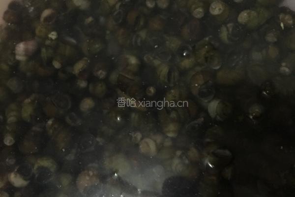 炒螺丝的做法图解1