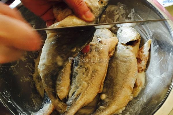 糖醋黄花鱼的做法图解2