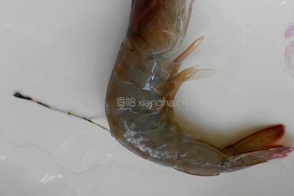 蒜泥红烧对虾的做法图解2