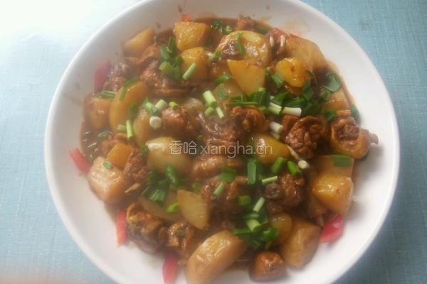 家常土豆炖鸡块的做法图解4