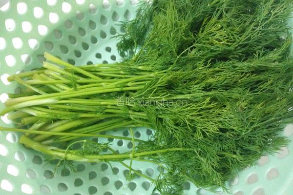 鱼丸茴香汤的做法图解8