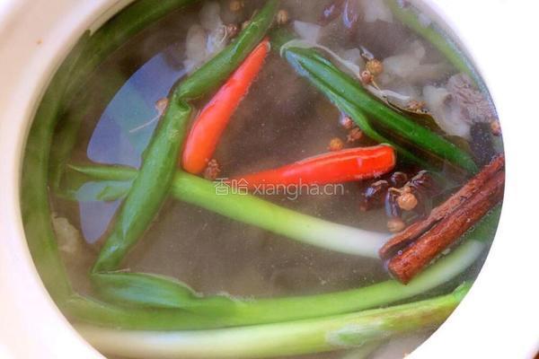 牛肉炖西红柿的做法图解6