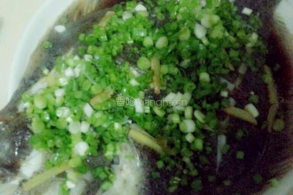 清蒸多宝鱼的做法图解6