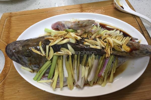 清蒸石斑鱼的做法图解9