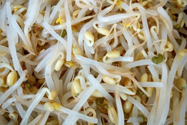 烧拌菜(喜事菜)的做法图解2