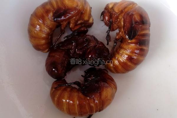 油炸金蝉的做法图解5
