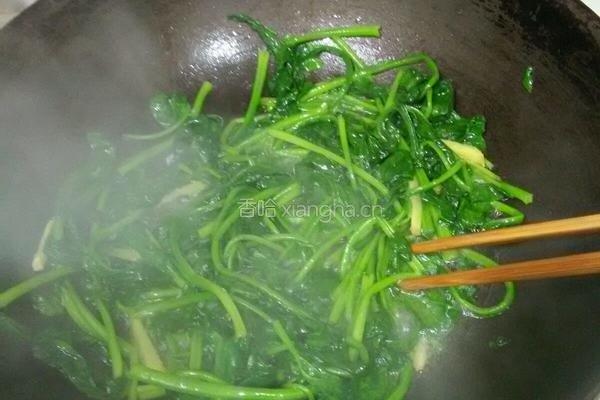 素炒菠菜的做法图解8