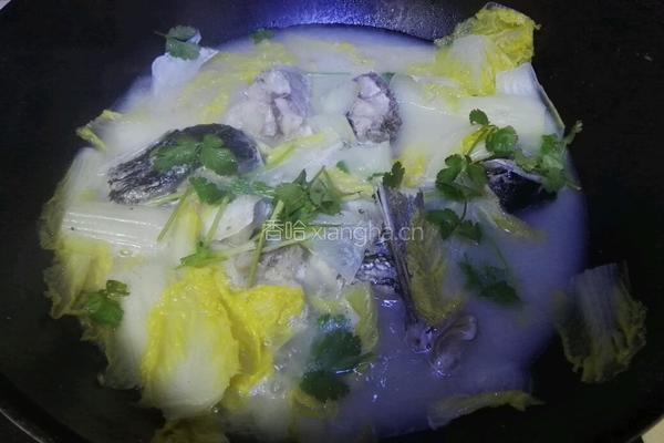 白菜鱼头汤的做法图解10