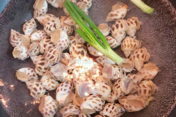 白灼花螺的做法图解4