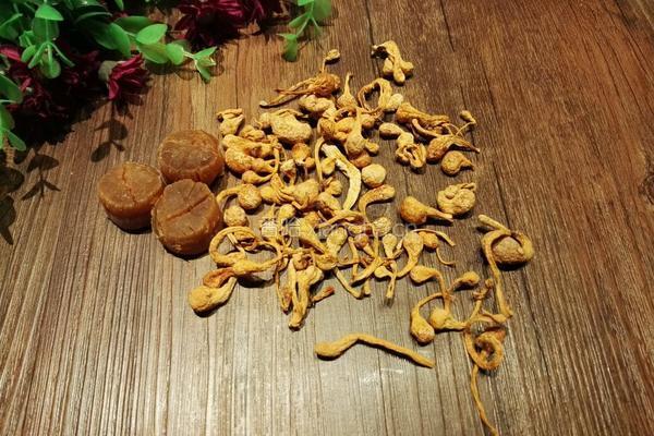 虫草花元贝汤的做法图解1