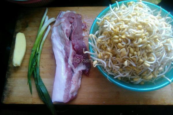 黄豆芽烧肉的做法图解1