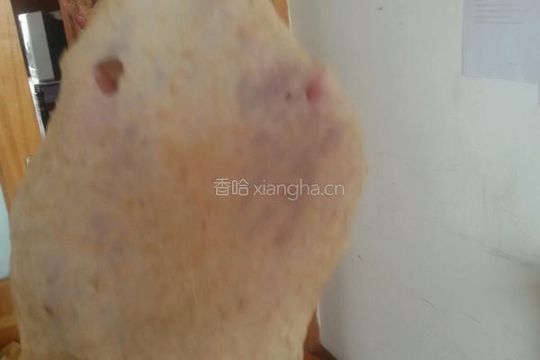 低糖全麦面包的做法图解9