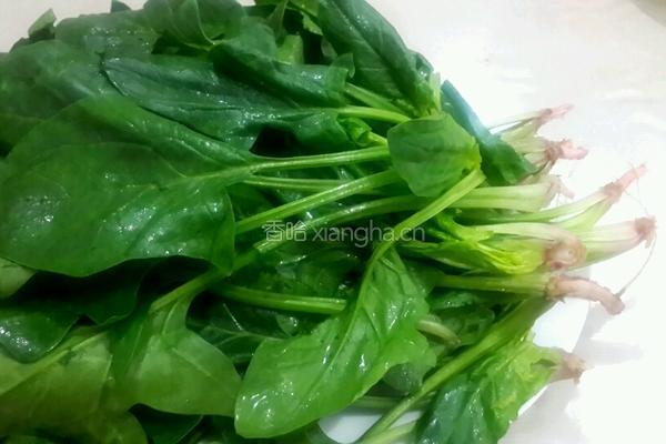 白灼菠菜的做法图解1