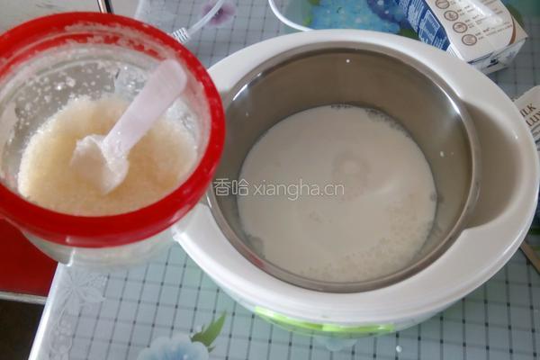 自制酸奶的做法图解4