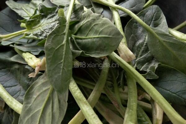 菠菜鸡蛋粉丝😃的做法图解1