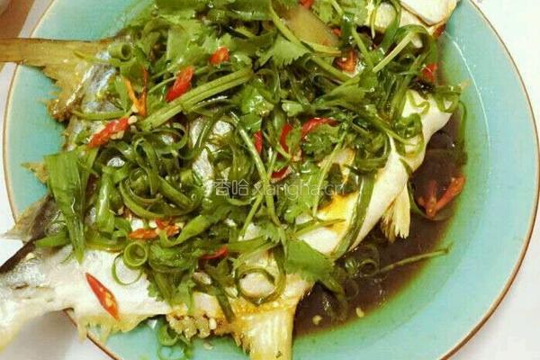 清蒸金枪鱼