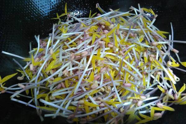 绿豆芽炒肉丝的做法图解5