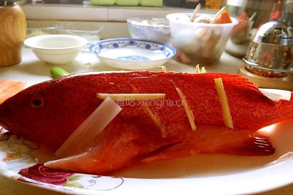 清蒸东星斑的做法图解2