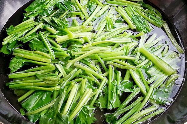菠菜陈醋花生米的做法图解4
