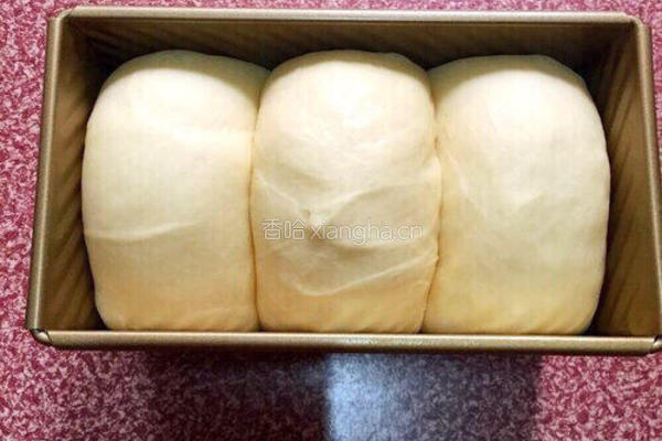 牛奶土司的做法图解13