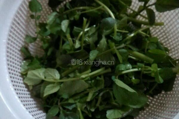 西洋菜猪杂汤的做法图解2