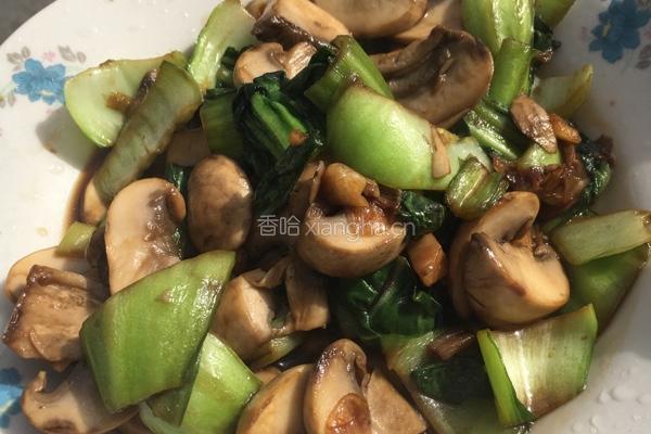 油菜炒口蘑的做法图解4