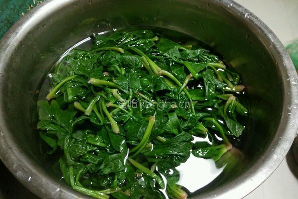 冰花菠菜鸡蛋煎饺的做法图解7
