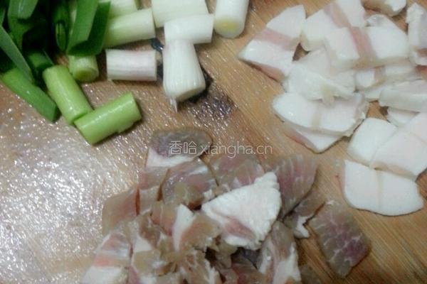 咸肉炒竹笋的做法图解4