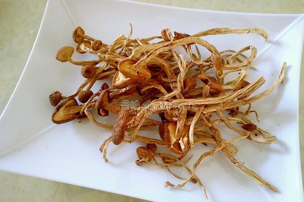 茶树菇炒杂太的做法图解4