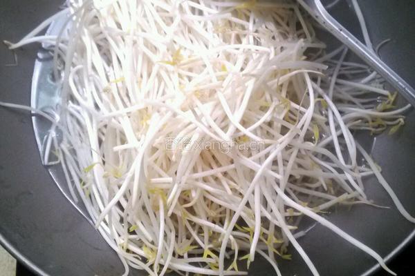 豆芽肉丸汤的做法图解5