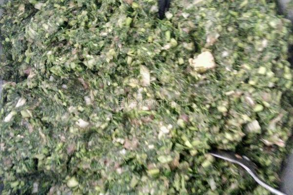 茴香馅饺子的做法图解5