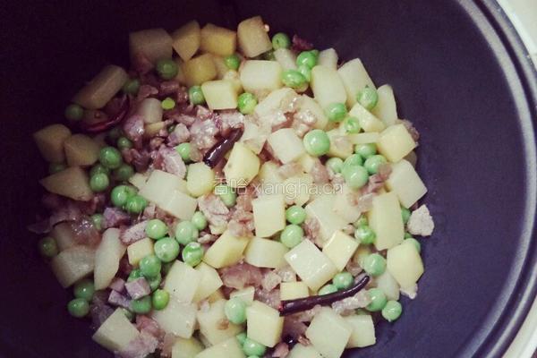 土豆闷饭的做法图解5