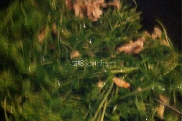 鸡丝豌豆苗的做法图解5