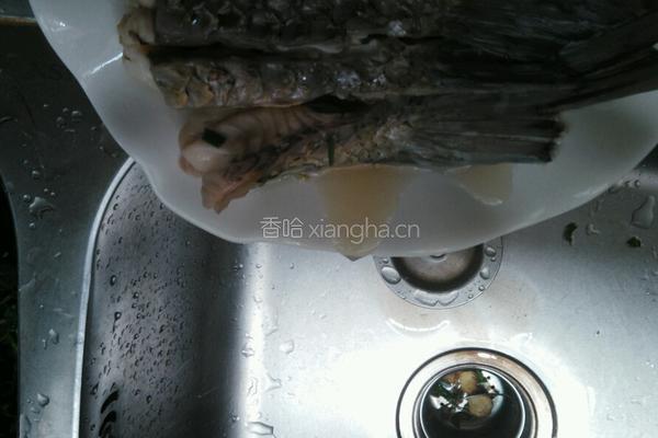 清蒸鲩鱼尾的做法图解5
