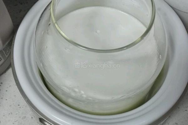 自制酸奶(奶粉)的做法图解3