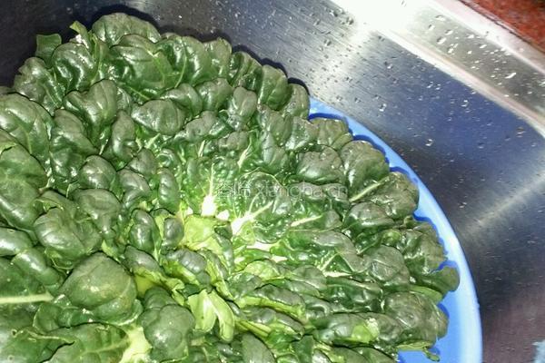 蒜茸炒塔菜的做法图解1