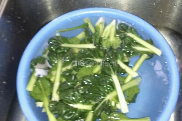 蒜茸炒塔菜的做法图解3