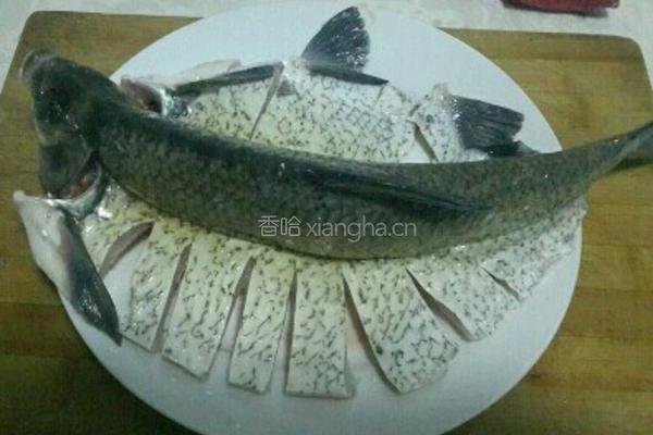 清蒸武昌鱼的做法图解1