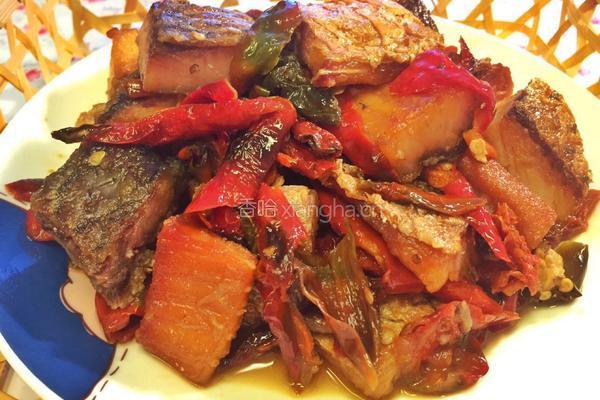 农家干椒烧腊鱼的做法图解8