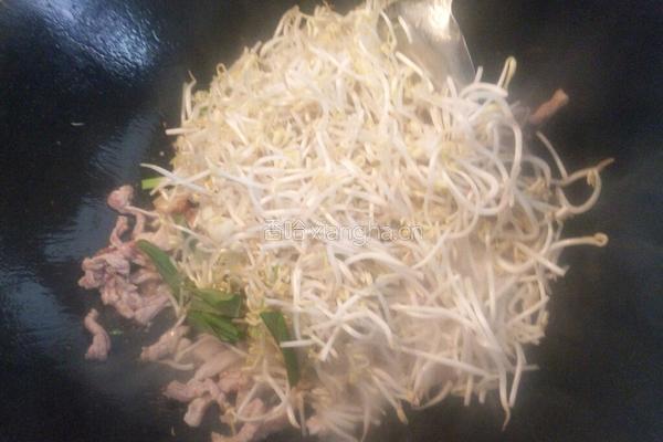 肉丝绿豆芽的做法图解5